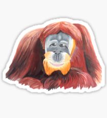Orangutan Sticker