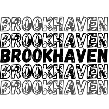 Brookhaven RP Kids T-Shirt for Sale by bahicharafe