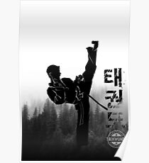 Taekwondo Korean High Kick Poster
