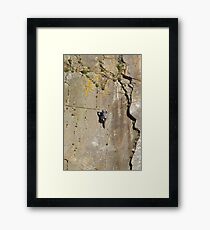Rock Star Framed Print