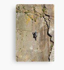 Rock Star Canvas Print