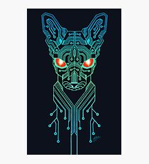 Circuits Photographic Print