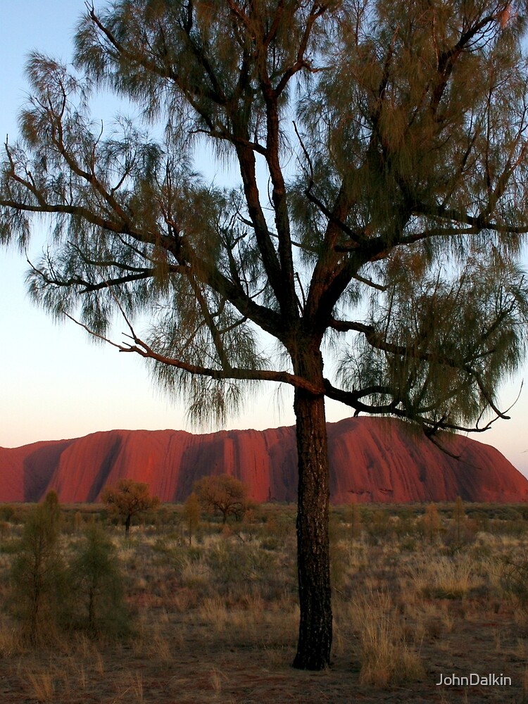 Uluru and the Tree by JohnDalkin