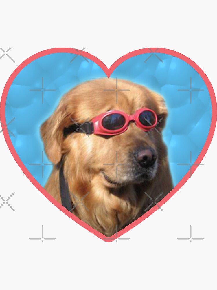 Doggo Stickers: Swimmer Dog by Elisecv