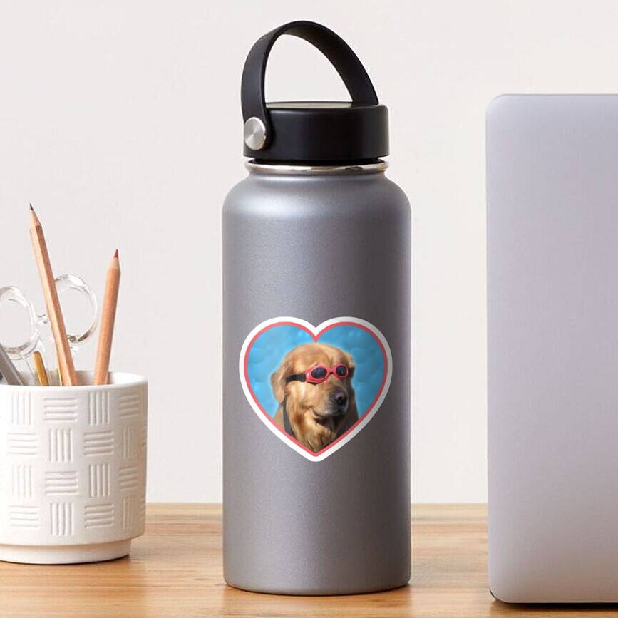Doggo Stickers: Swimmer Dog Sticker