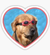 Doggo-Aufkleber: Schwimmer-Hund Sticker