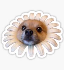 Doggo Stickers: Flower Doggo Sticker