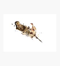 Owl - Feather Photographic Print