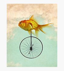 unicycle goldfish Photographic Print