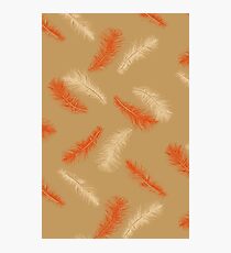 DELICATE - EARTH SHADES Photographic Print
