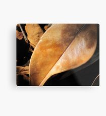 Depths Metal Print