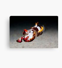 Master of Disguise Canvas Print