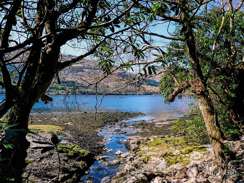 "Loch Goil Argyll" by Lynn Bolt Redbubble