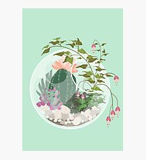 Round Terrarium Photographic Print