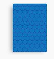 Scales Canvas Print