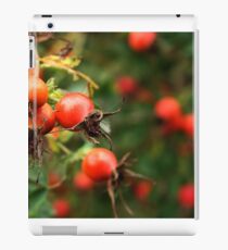Red Rosehips iPad Case/Skin