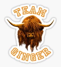 Team Ginger Scottish Highland Cow Sticker