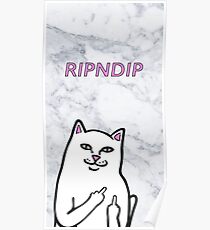 RIPNDIP CAT Poster