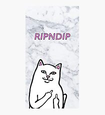 RIPNDIP CAT Photographic Print