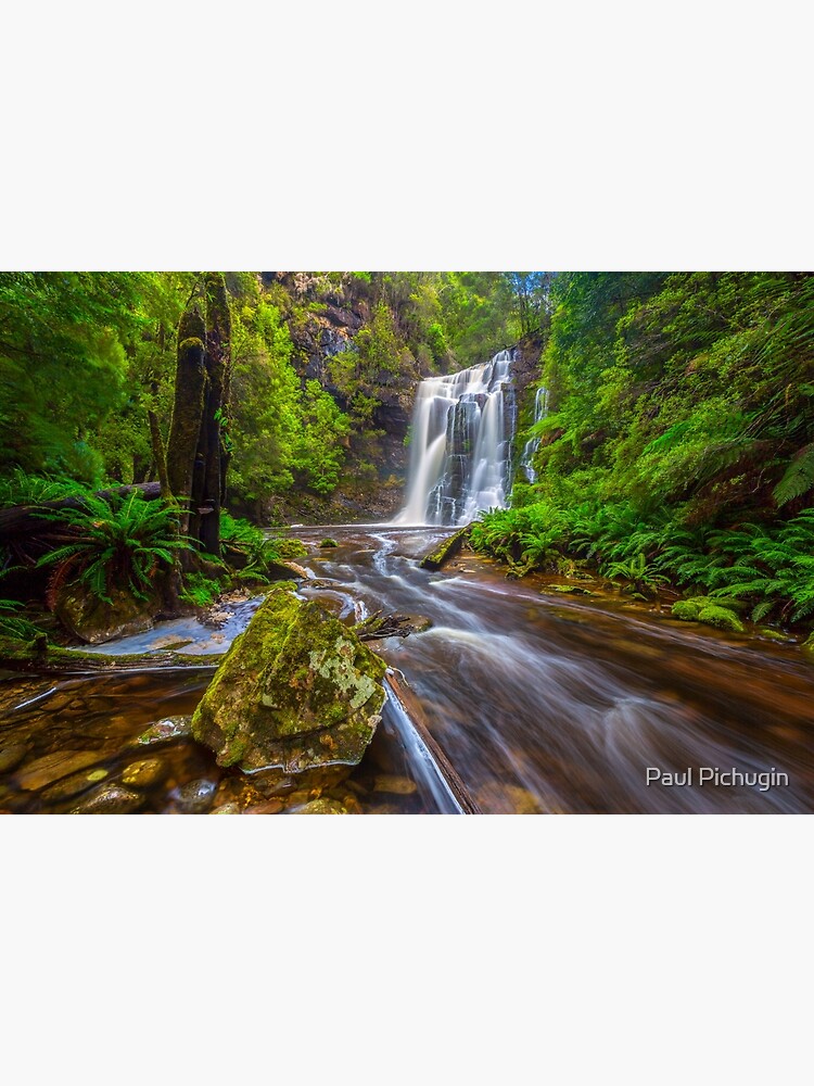 Tarkine Falls, Tasmania by paulmp