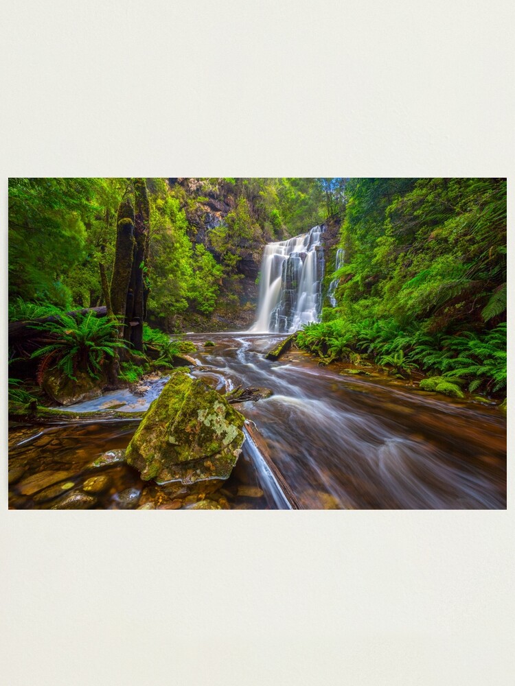 Alternate view of Tarkine Falls, Tasmania Photographic Print