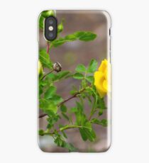 Yellow Rose iPhone Case/Skin