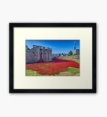 Poppies in the Moat 2 Framed Print