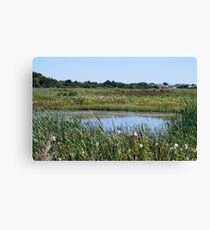 Comforting Canvas Print