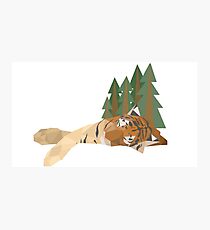 Geometric Tiger Photographic Print