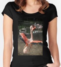 Chilean Flamingo Women's Fitted Scoop T-Shirt