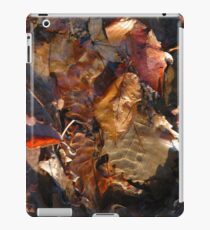 Natural Canvas iPad Case/Skin
