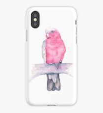 Sitting Pretty iPhone Case/Skin