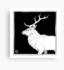 Stag Canvas Print