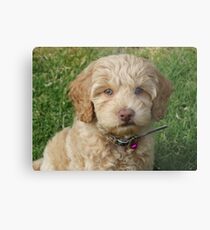 Winnie Metal Print