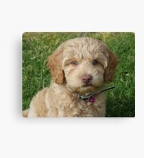 Winnie Canvas Print
