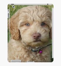 Winnie iPad Case/Skin