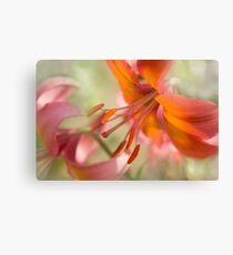 Alpenglow Canvas Print