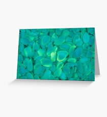 Flaked almonds Greeting Card