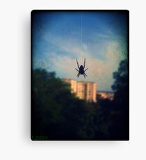 Spider Canvas Print