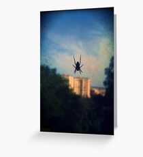 Spider Greeting Card