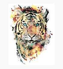 Tiger III Fotodruck