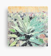 Spider Visits Canvas Print