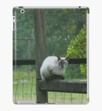 Cat on a Fence Post iPad Case/Skin