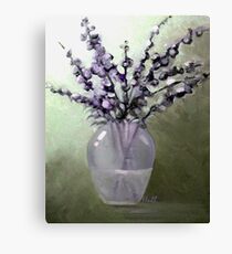Laven Canvas Print