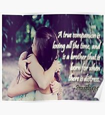 True Companion/Friend Poster