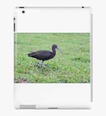 Glossy Ibis iPad Case/Skin