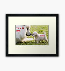 y r u so smol, i am pupper Framed Print
