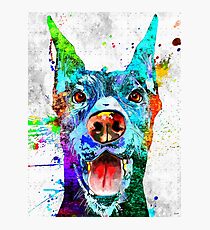 Doberman Pinscher Grunge Photographic Print
