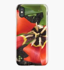 Expired iPhone Case