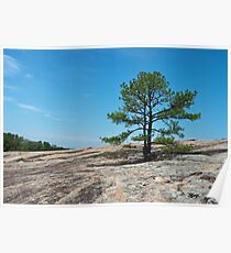 Arabia Mountain Poster